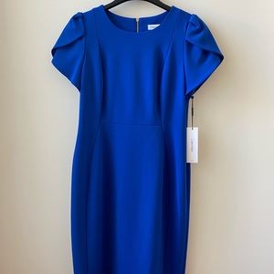 Calvin Klein Tulip Sleeve Dress Size 12